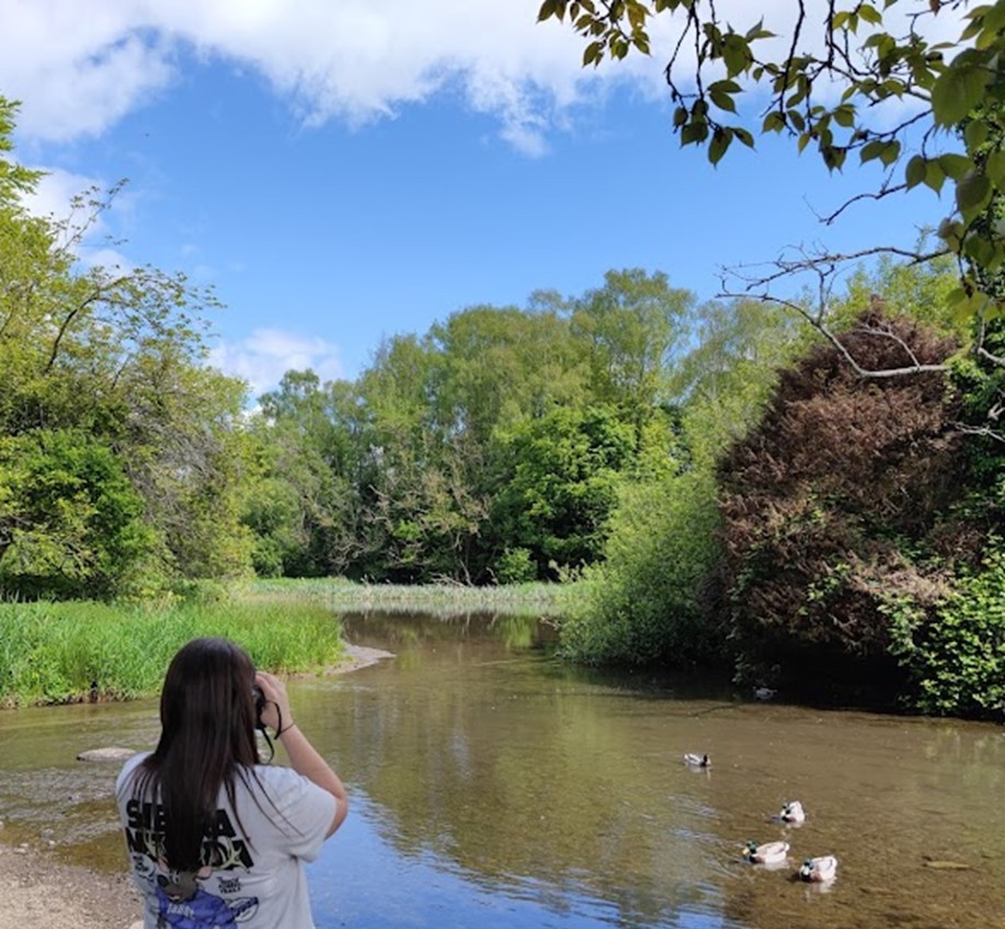 Birds hold a vital role in the intricate web of Ireland's Ecology | OCSC